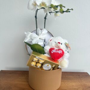 Box G Orquídea