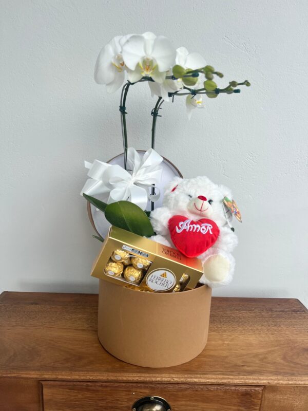 Box G Orquídea