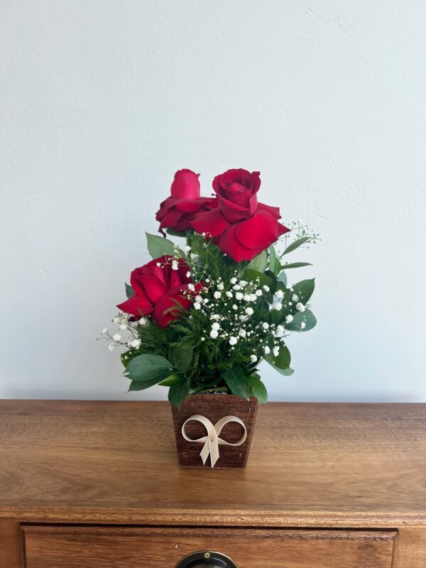 Arranjo c/ 3 Rosas