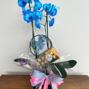 Box Orquídea Azul