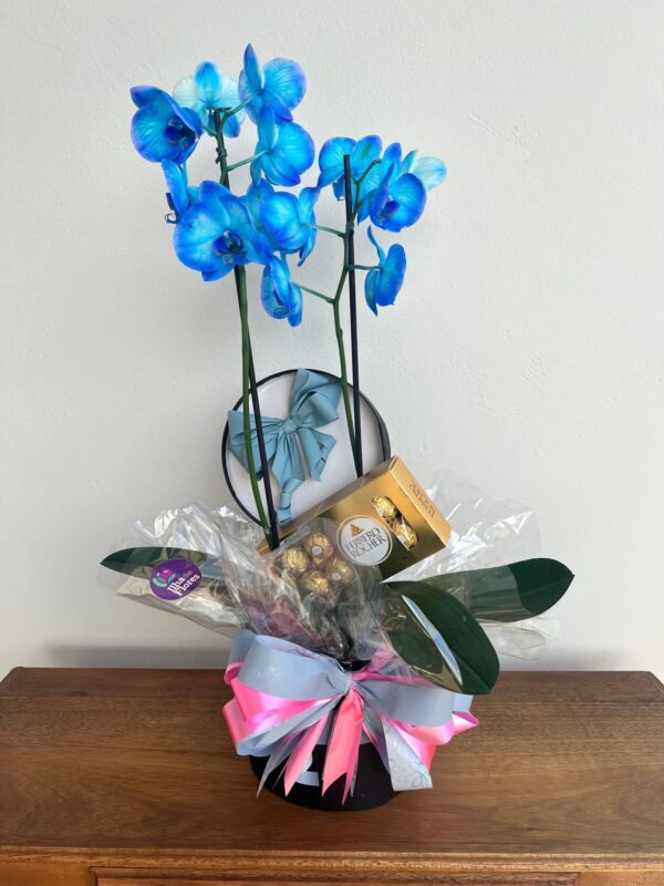 Box Orquídea Azul